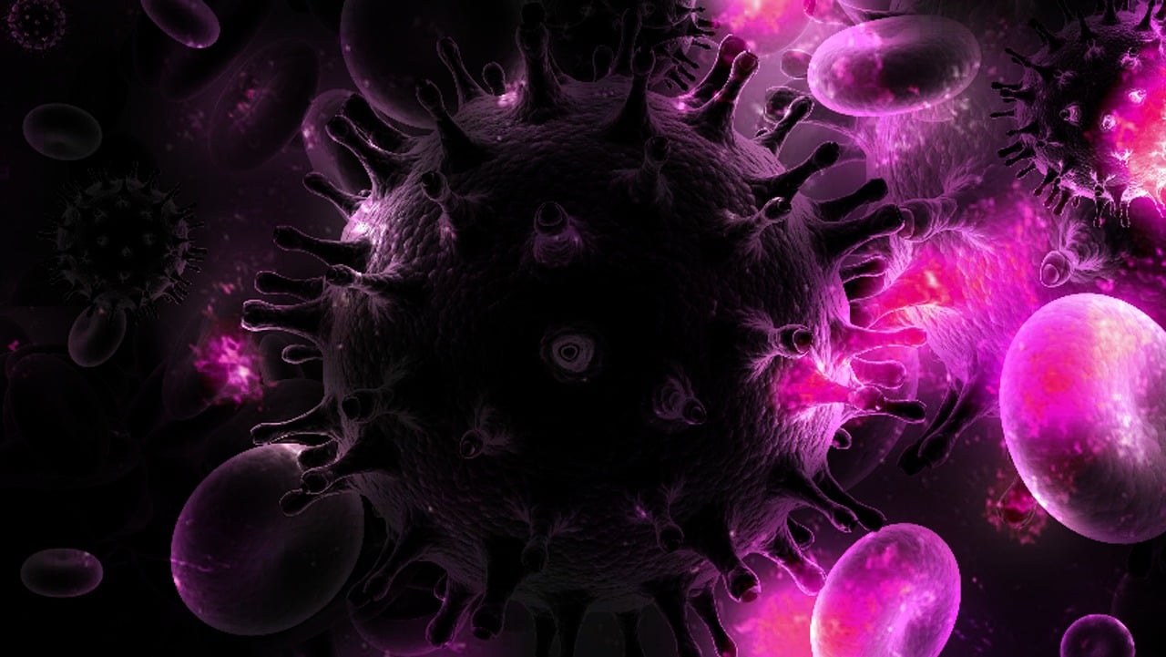 A digital representation of the IIV Virus